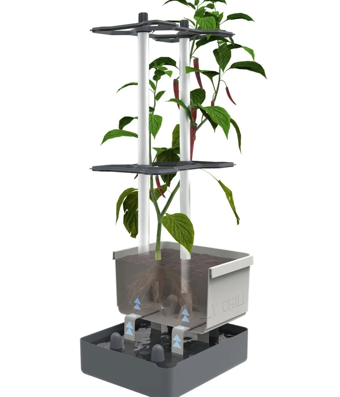 Gusta Garden Chili-Pflanztopf Charly Chili, ca. B35/H69/T28 cm