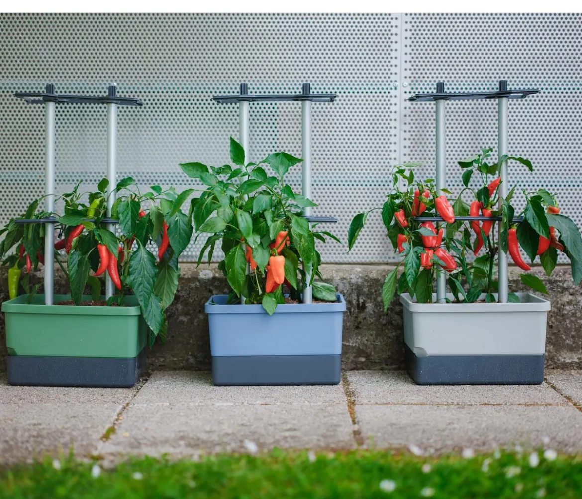 Gusta Garden Chili-Pflanztopf Charly Chili, ca. B35/H69/T28 cm