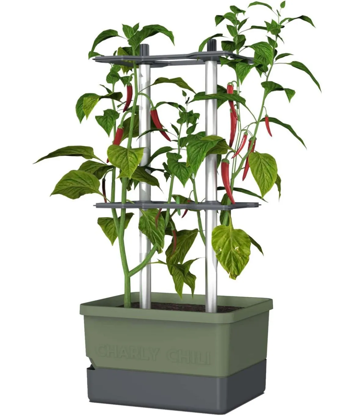 Gusta Garden Chili-Pflanztopf Charly Chili, ca. B35/H69/T28 cm