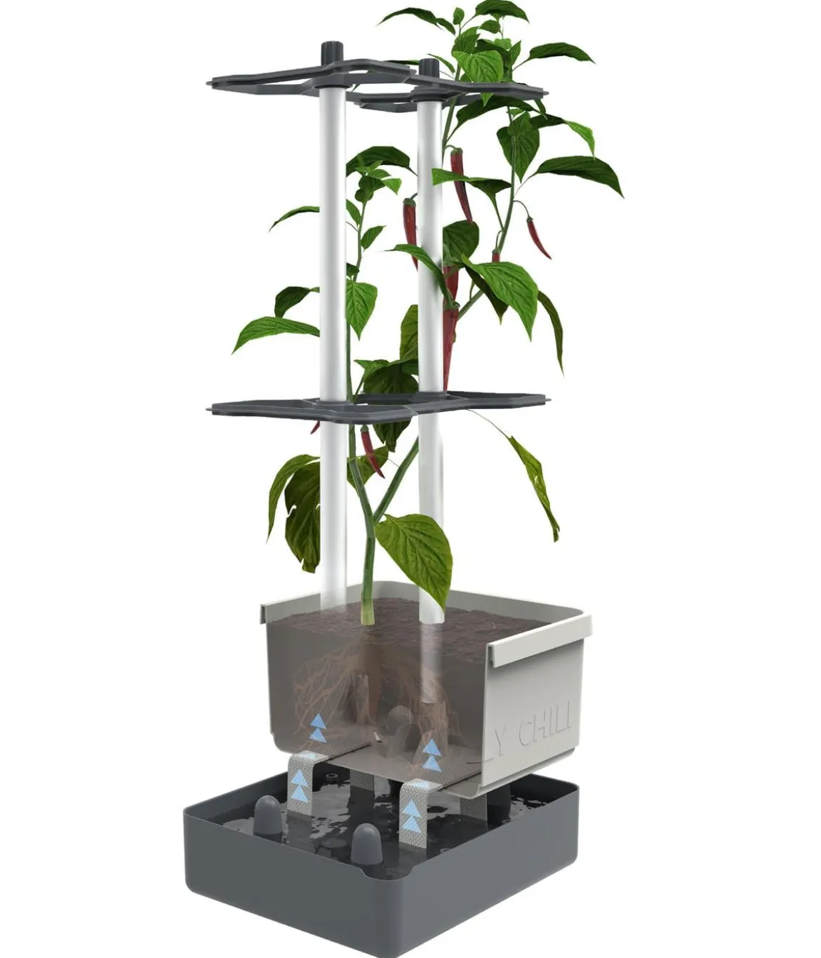 Gusta Garden Chili-Pflanztopf Charly Chili, ca. B35/H69/T28 cm
