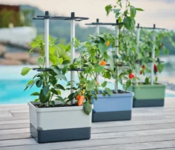 Gusta Garden Chili-Pflanztopf Charly Chili, ca. B35/H69/T28 cm