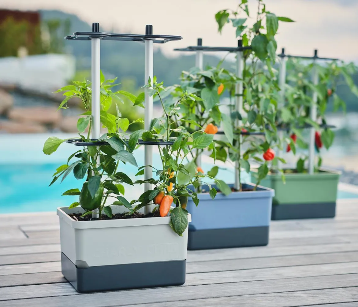 Gusta Garden Chili-Pflanztopf Charly Chili, ca. B35/H69/T28 cm