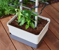 Gusta Garden Chili-Pflanztopf Charly Chili, ca. B35/H69/T28 cm