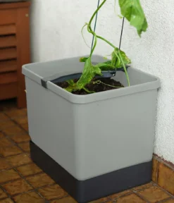 Gusta Garden Gurken-Topf Curt Cucumber, ca. B35/H138/T28 cm