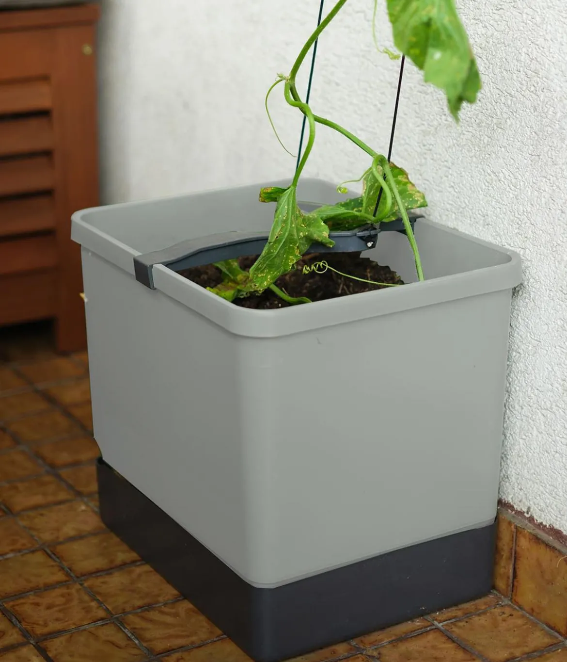 Gusta Garden Gurken-Topf Curt Cucumber, ca. B35/H138/T28 cm