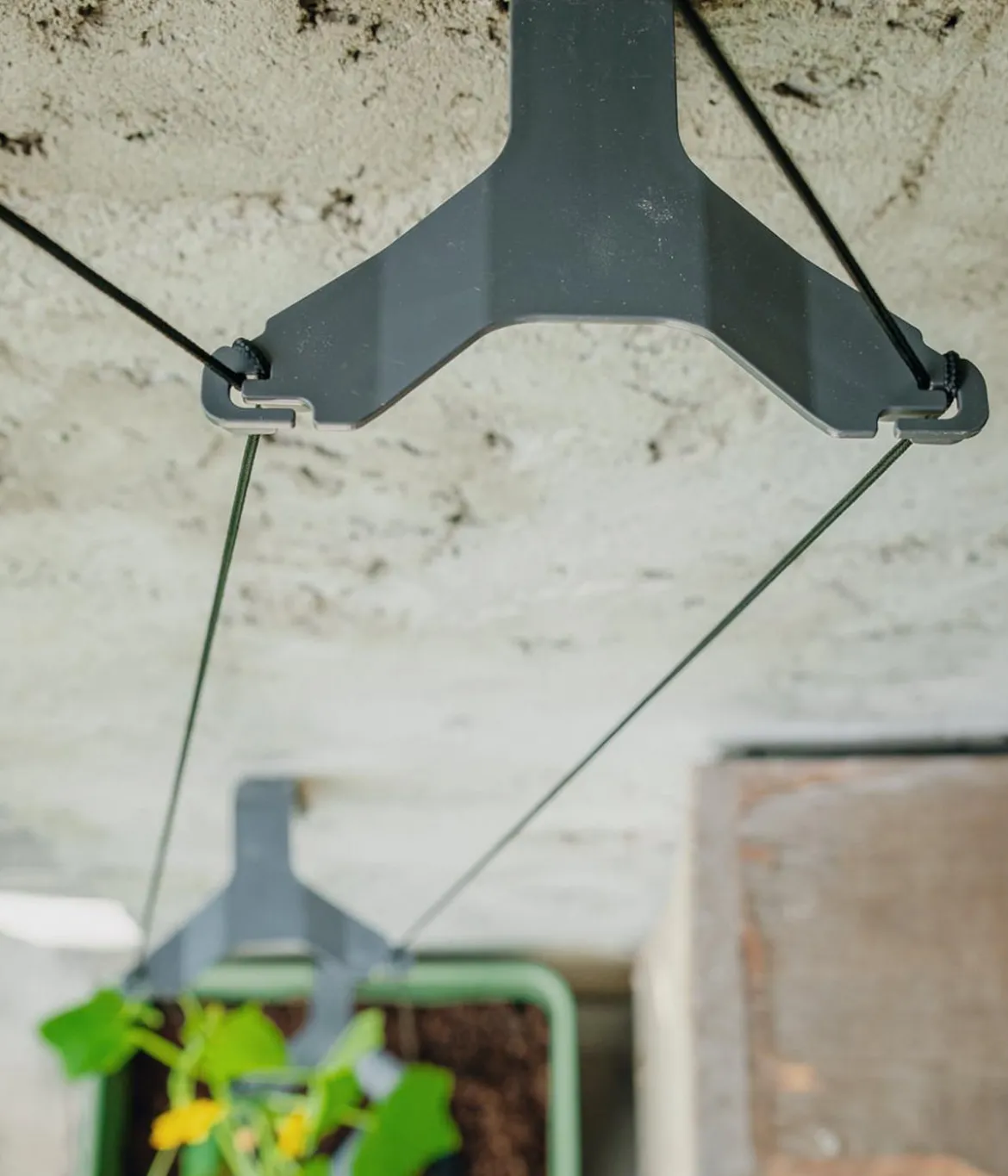 Gusta Garden Gurken-Topf Curt Cucumber, ca. B35/H138/T28 cm