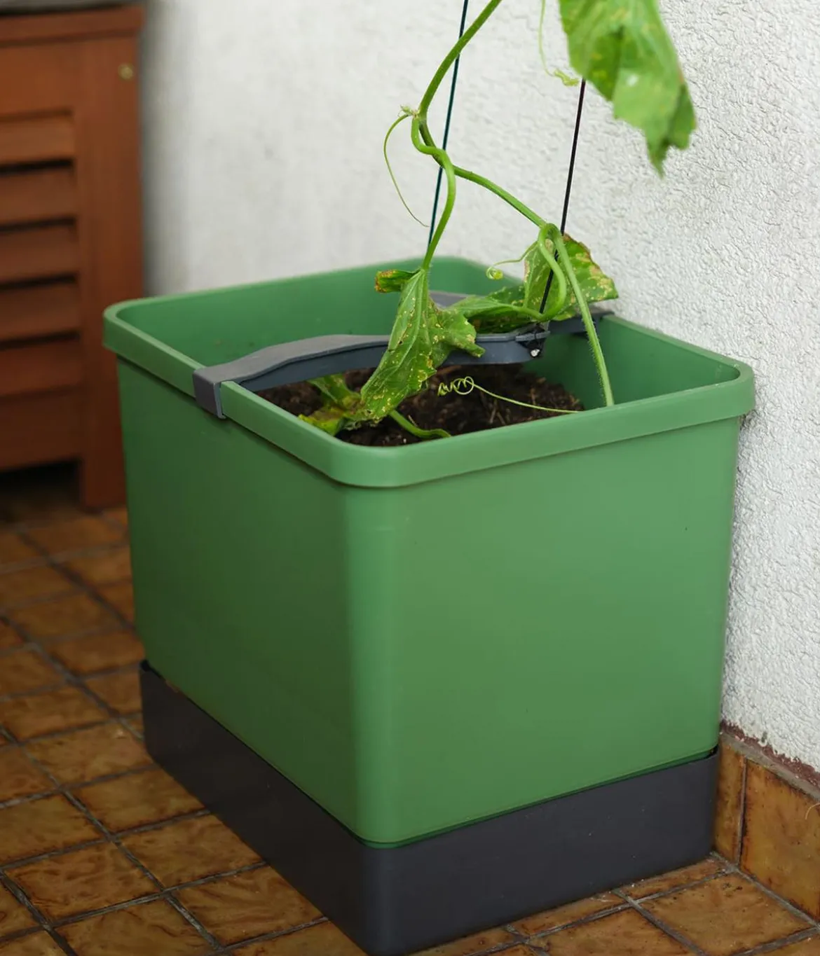Gusta Garden Gurken-Topf Curt Cucumber, ca. B35/H138/T28 cm