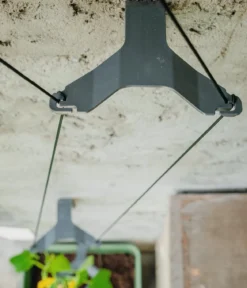 Gusta Garden Gurken-Topf Curt Cucumber, ca. B35/H138/T28 cm