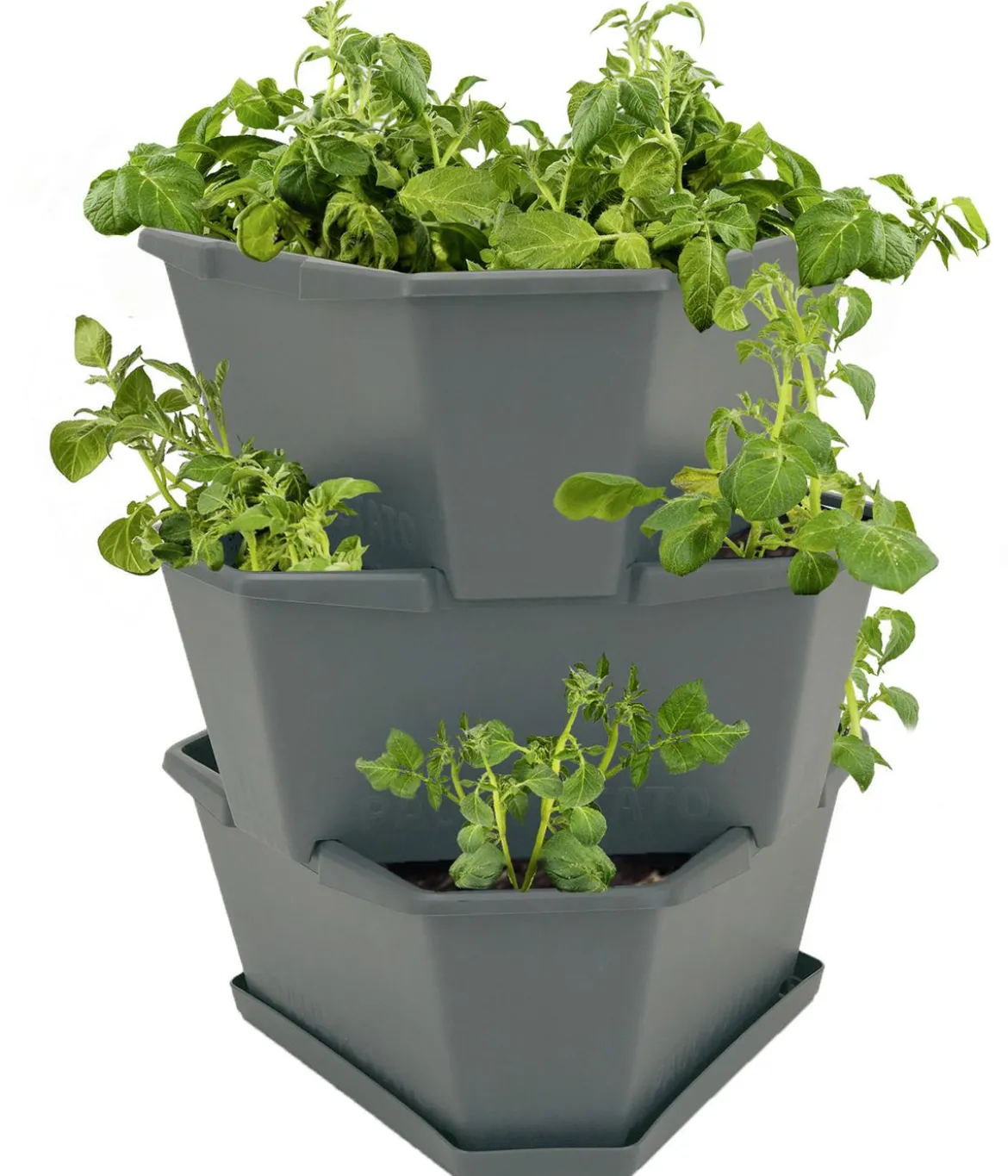 Gusta Garden Kartoffelturm Paul Potato Starter, 3 Etagen, ca. B44/H50/T44 cm