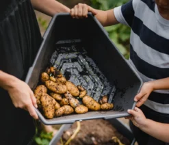 Gusta Garden Kartoffelturm Paul Potato Starter, 3 Etagen, ca. B44/H50/T44 cm