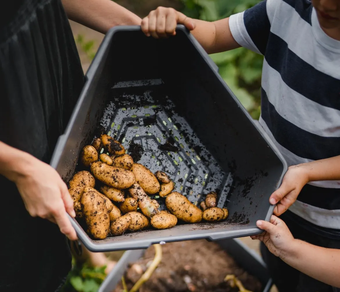 Gusta Garden Kartoffelturm Paul Potato Starter, 3 Etagen, ca. B44/H50/T44 cm