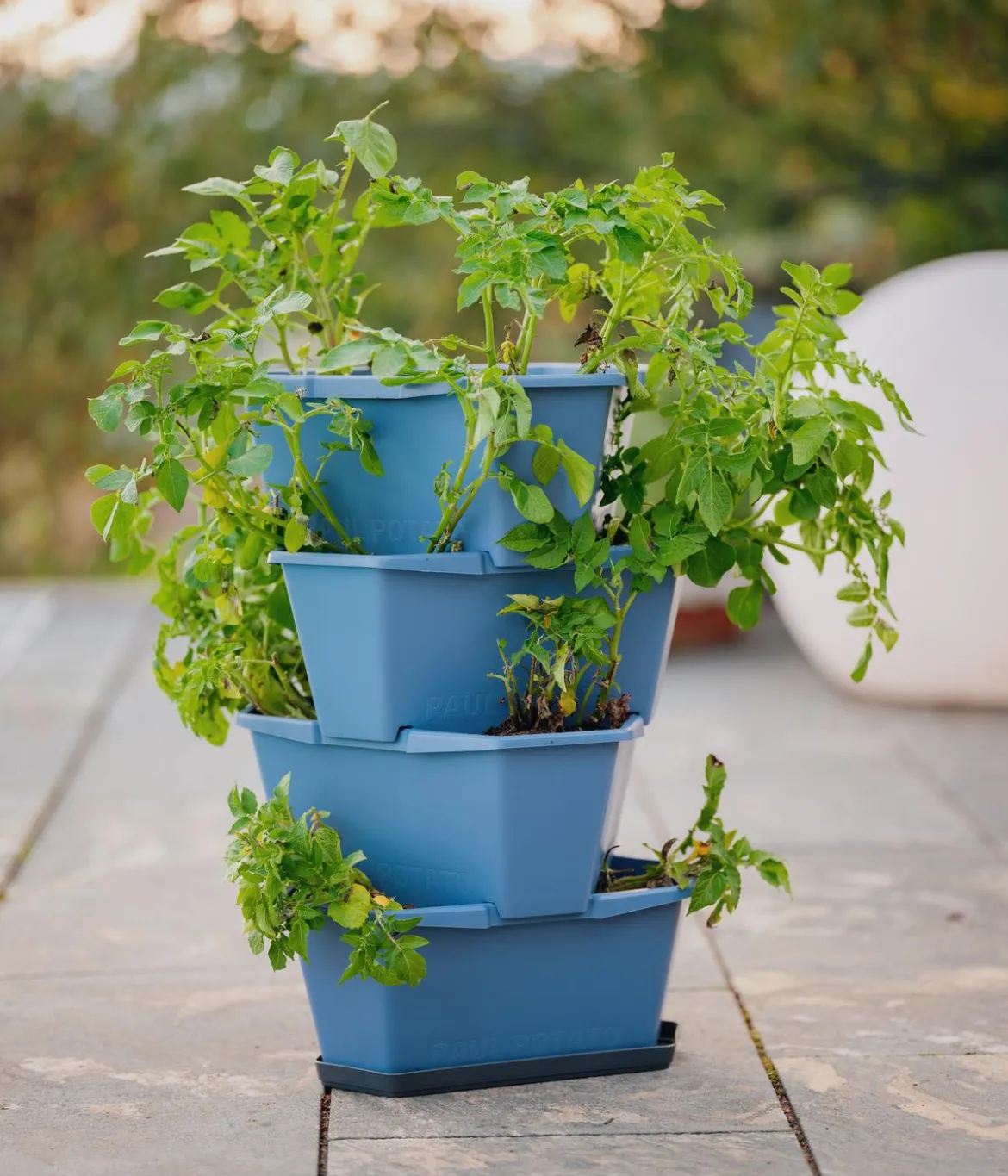 Gusta Garden Kartoffelturm Paul Potato Starter, 4 Etagen, ca. B44/H65/T44 cm