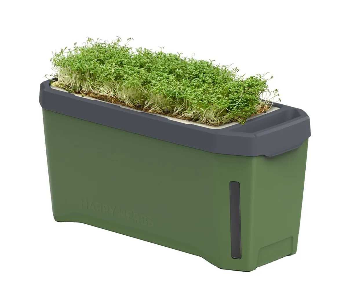 Gusta Garden Kräutertopf Harry Herbs, ca. B36/H16/T15 cm