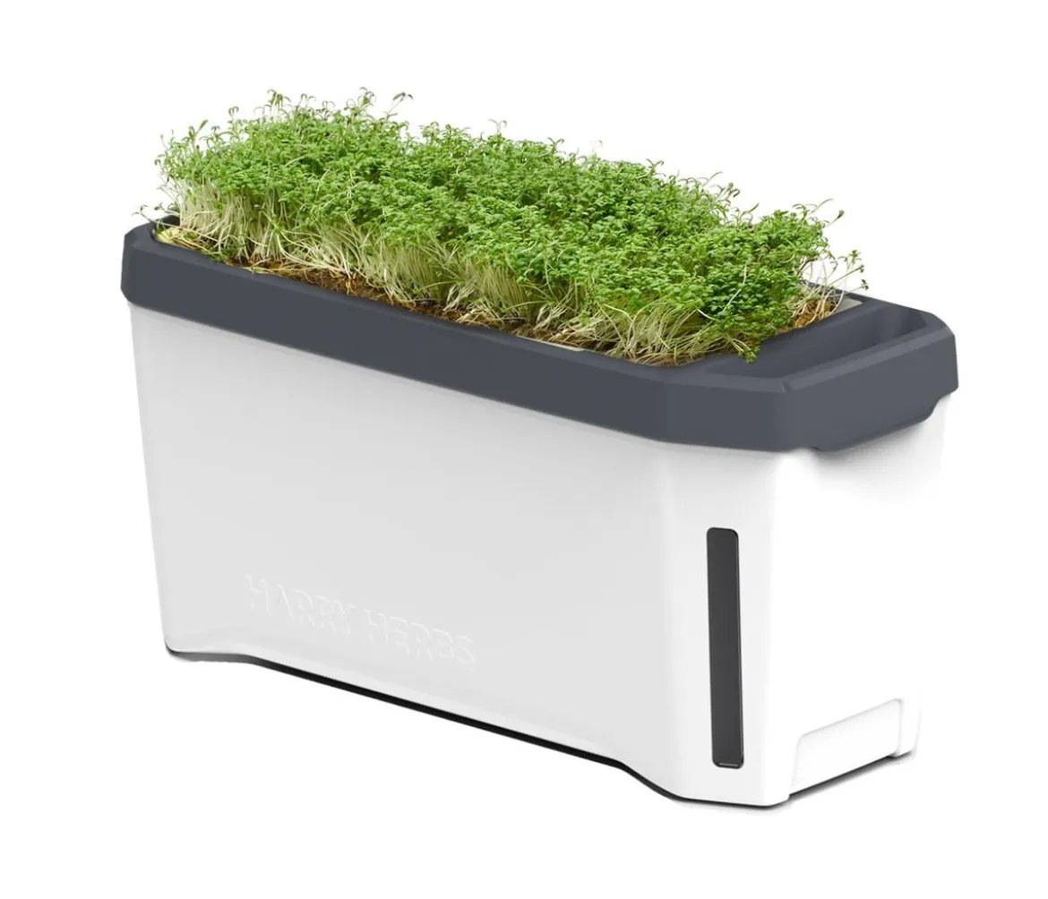 Gusta Garden Kräutertopf Harry Herbs, ca. B36/H16/T15 cm