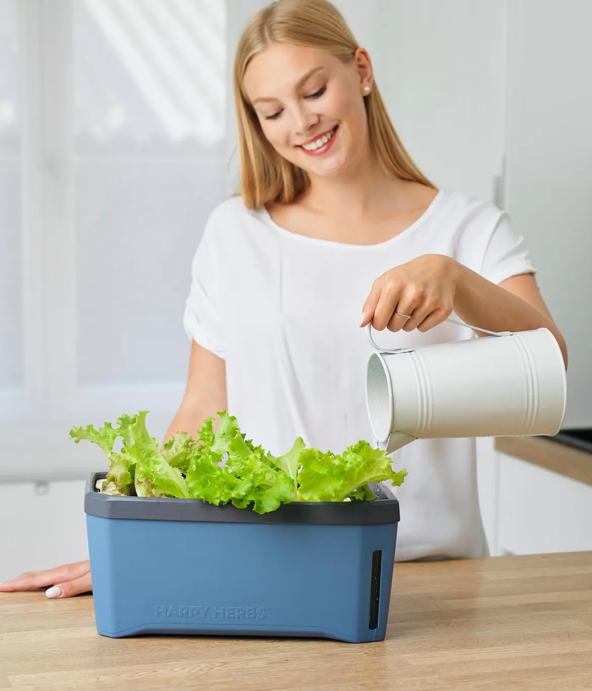 Gusta Garden Kräutertopf Harry Herbs, ca. B36/H16/T15 cm