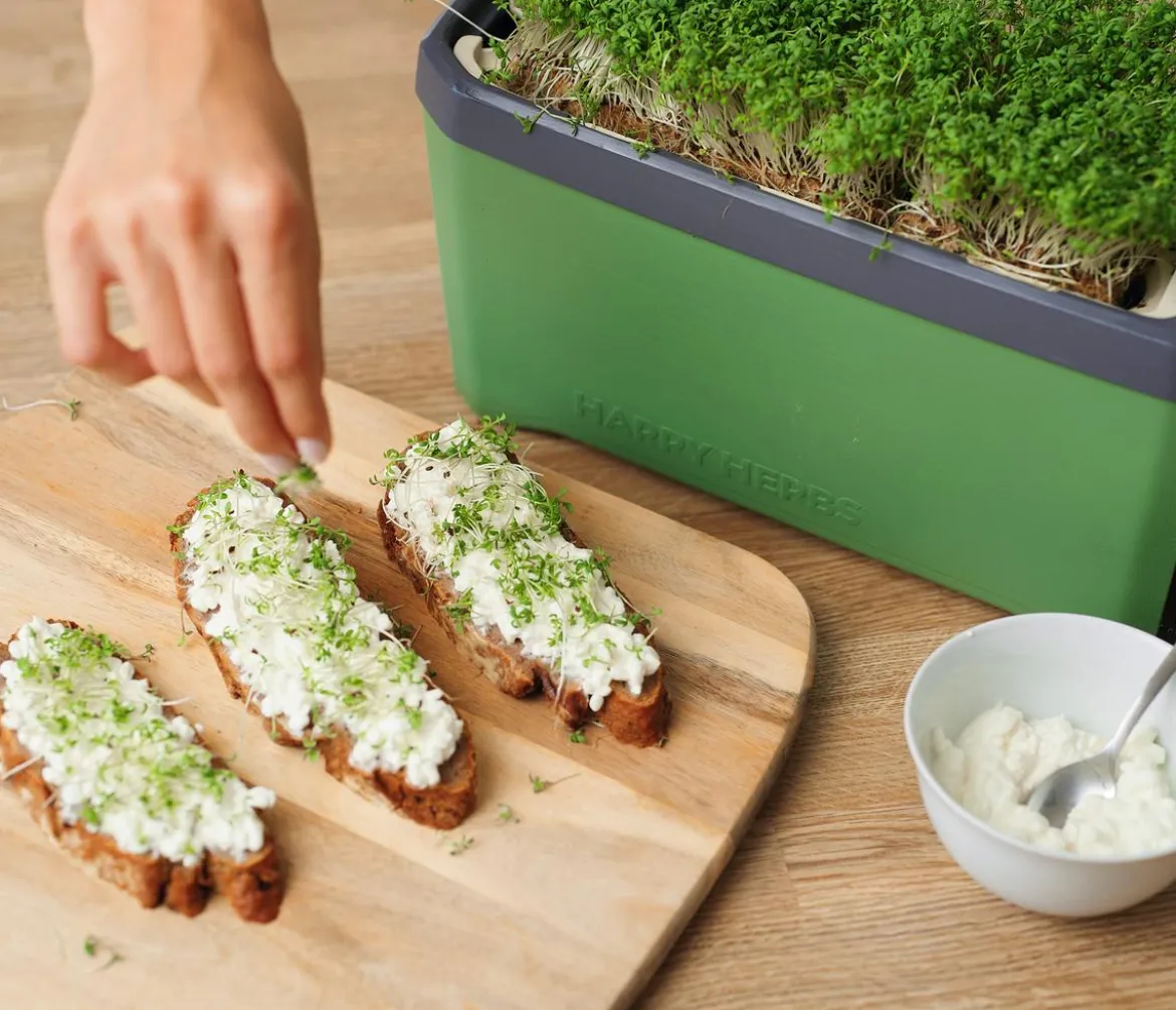 Gusta Garden Kräutertopf Harry Herbs, ca. B36/H16/T15 cm