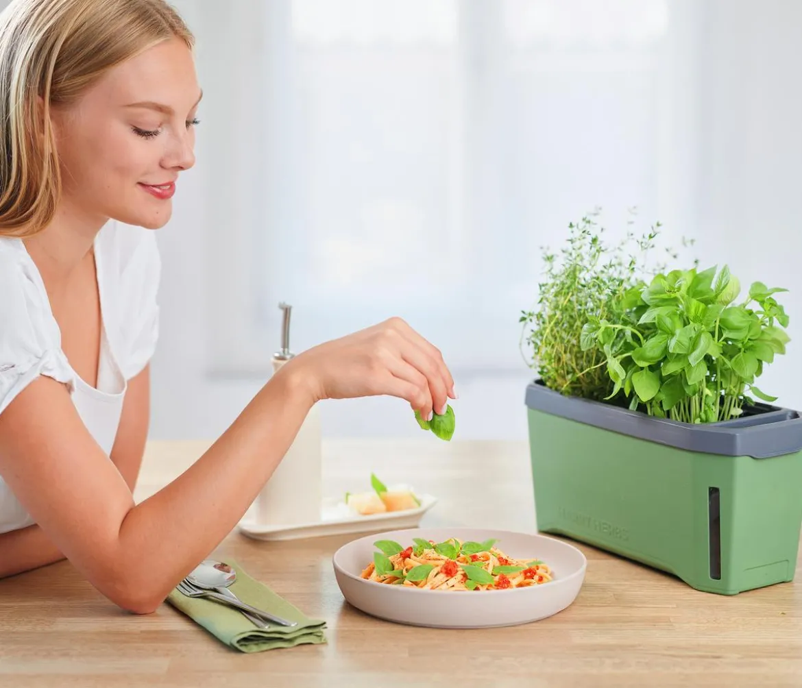 Gusta Garden Kräutertopf Harry Herbs, ca. B36/H16/T15 cm
