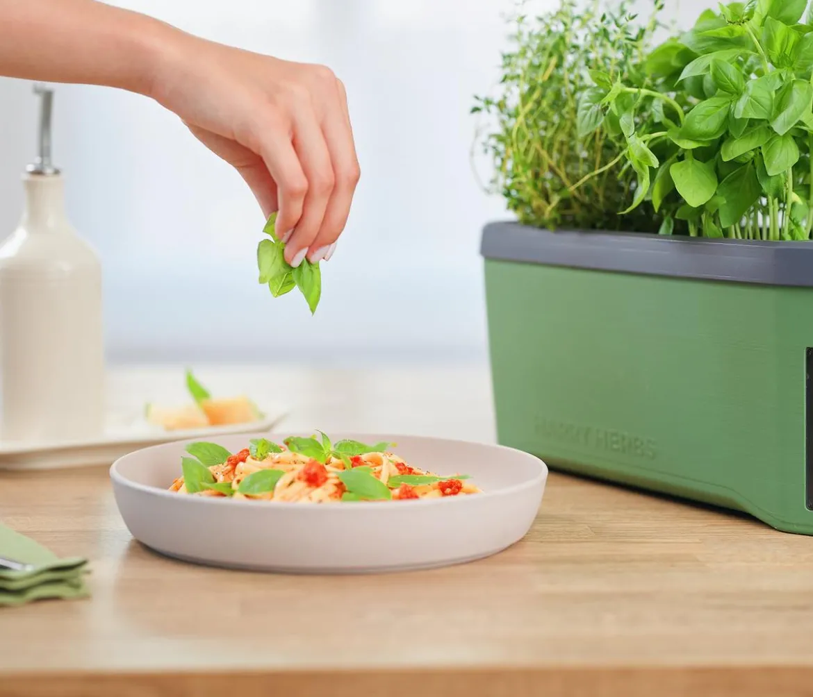 Gusta Garden Kräutertopf Harry Herbs, ca. B36/H16/T15 cm