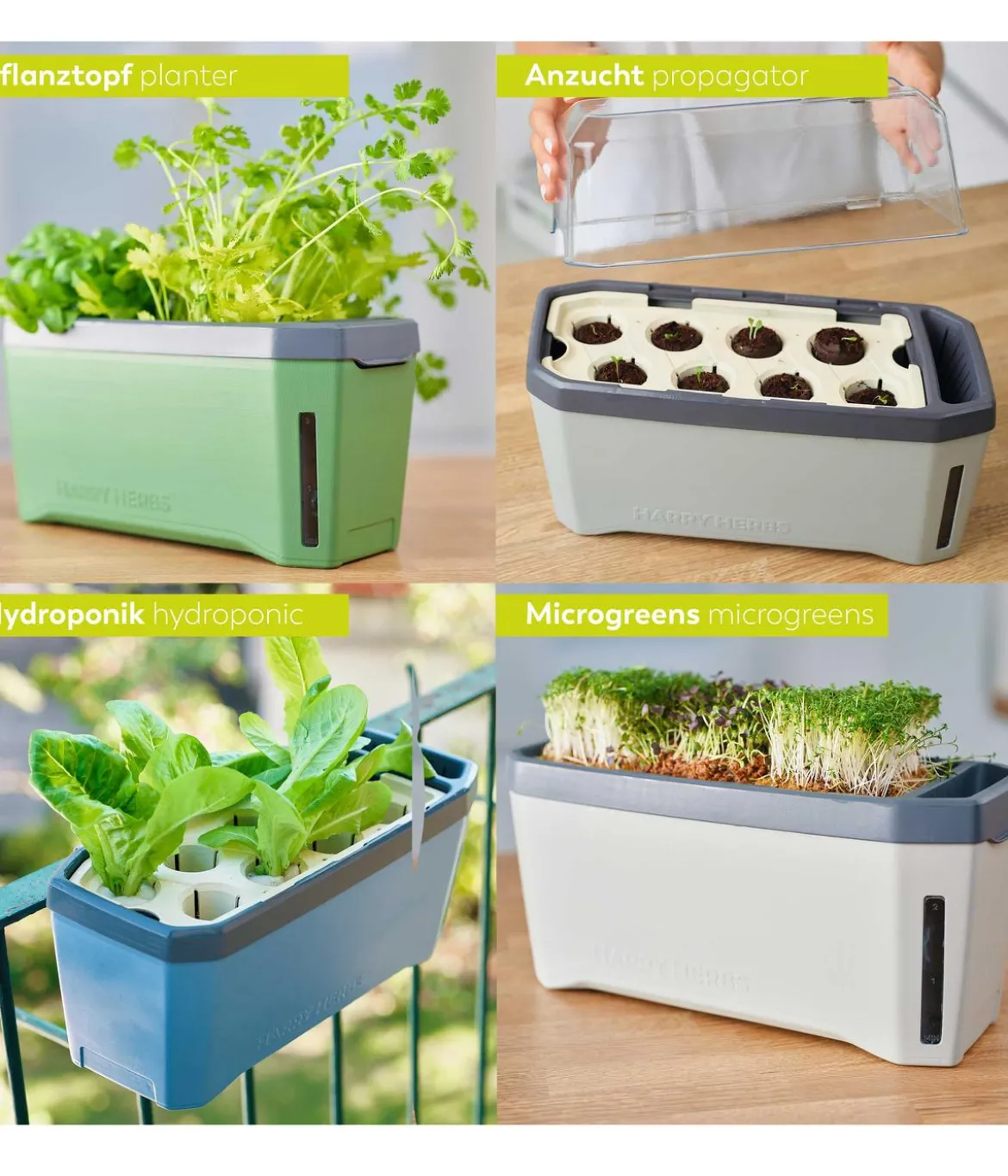Gusta Garden Kräutertopf Harry Herbs, ca. B36/H16/T15 cm