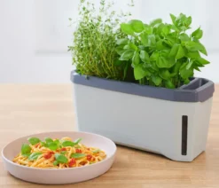 Gusta Garden Kräutertopf Harry Herbs, ca. B36/H16/T15 cm