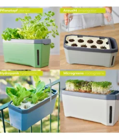 Gusta Garden Kräutertopf Harry Herbs mit Anzuchthaube, ca. B36/H25/T15 cm
