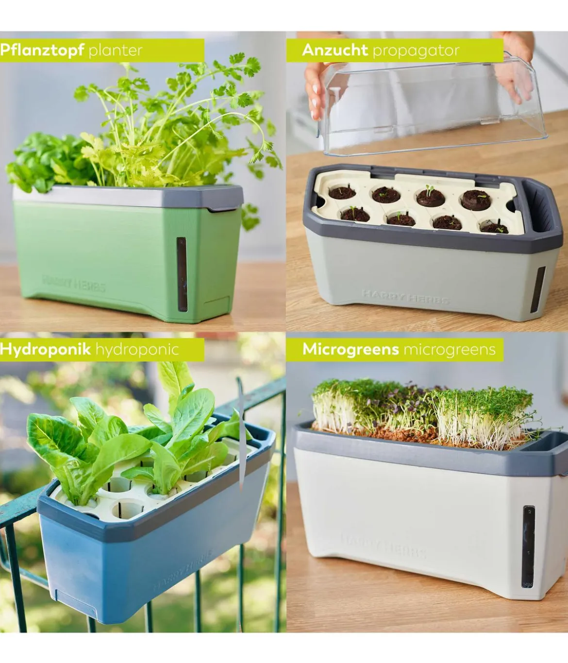 Gusta Garden Kräutertopf Harry Herbs mit Anzuchthaube, ca. B36/H25/T15 cm