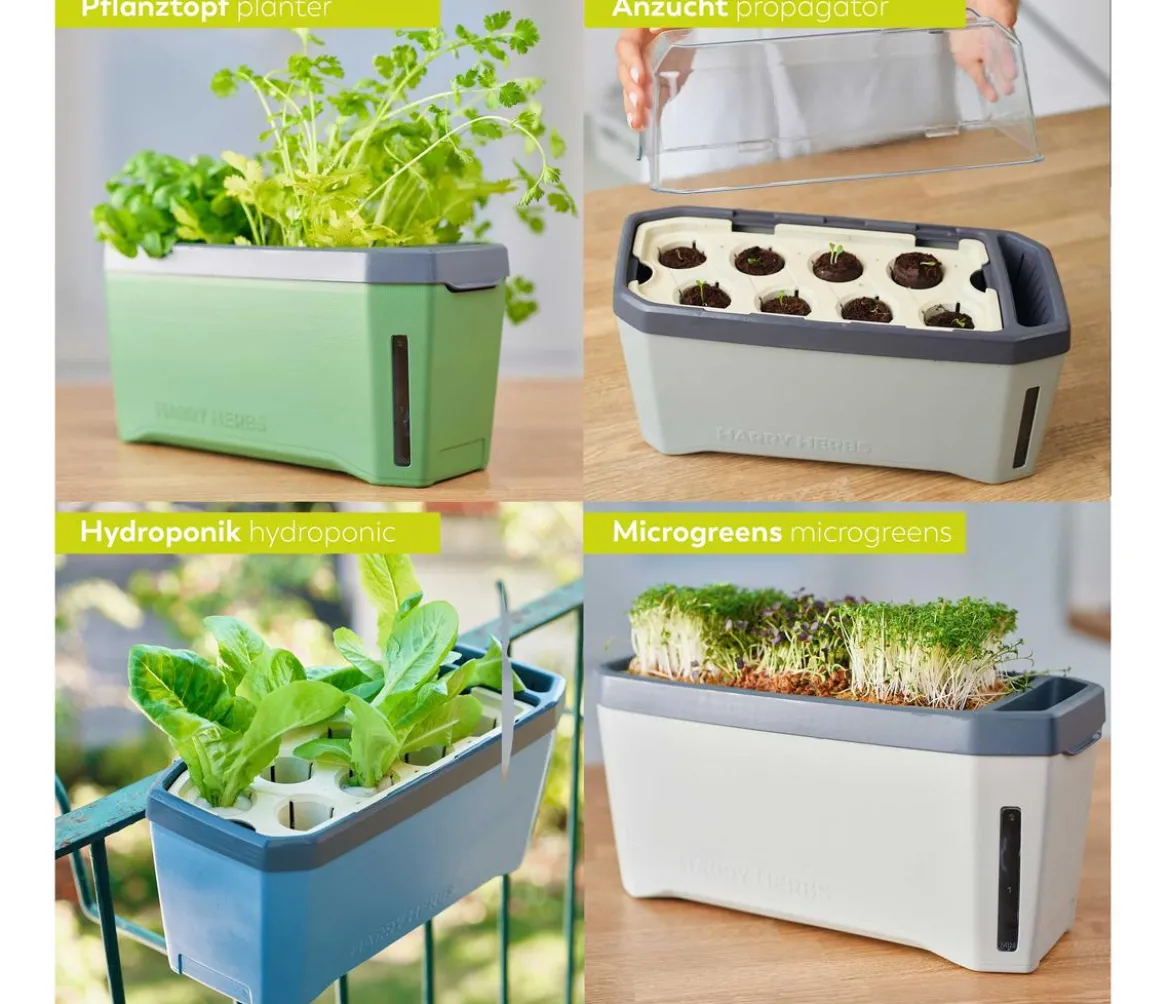 Gusta Garden Kräutertopf Harry Herbs mit Anzuchthaube, ca. B36/H25/T15 cm