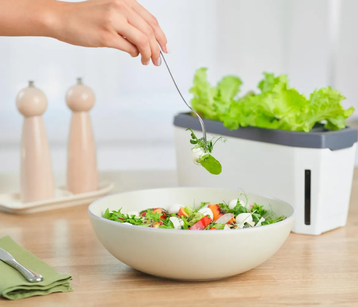 Gusta Garden Kräutertopf Harry Herbs mit Anzuchthaube, ca. B36/H25/T15 cm