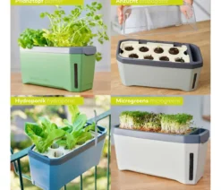 Gusta Garden Kräutertopf Harry Herbs mit Anzuchthaube, ca. B36/H25/T15 cm