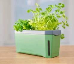 Gusta Garden Kräutertopf Harry Herbs mit Anzuchthaube, ca. B36/H25/T15 cm