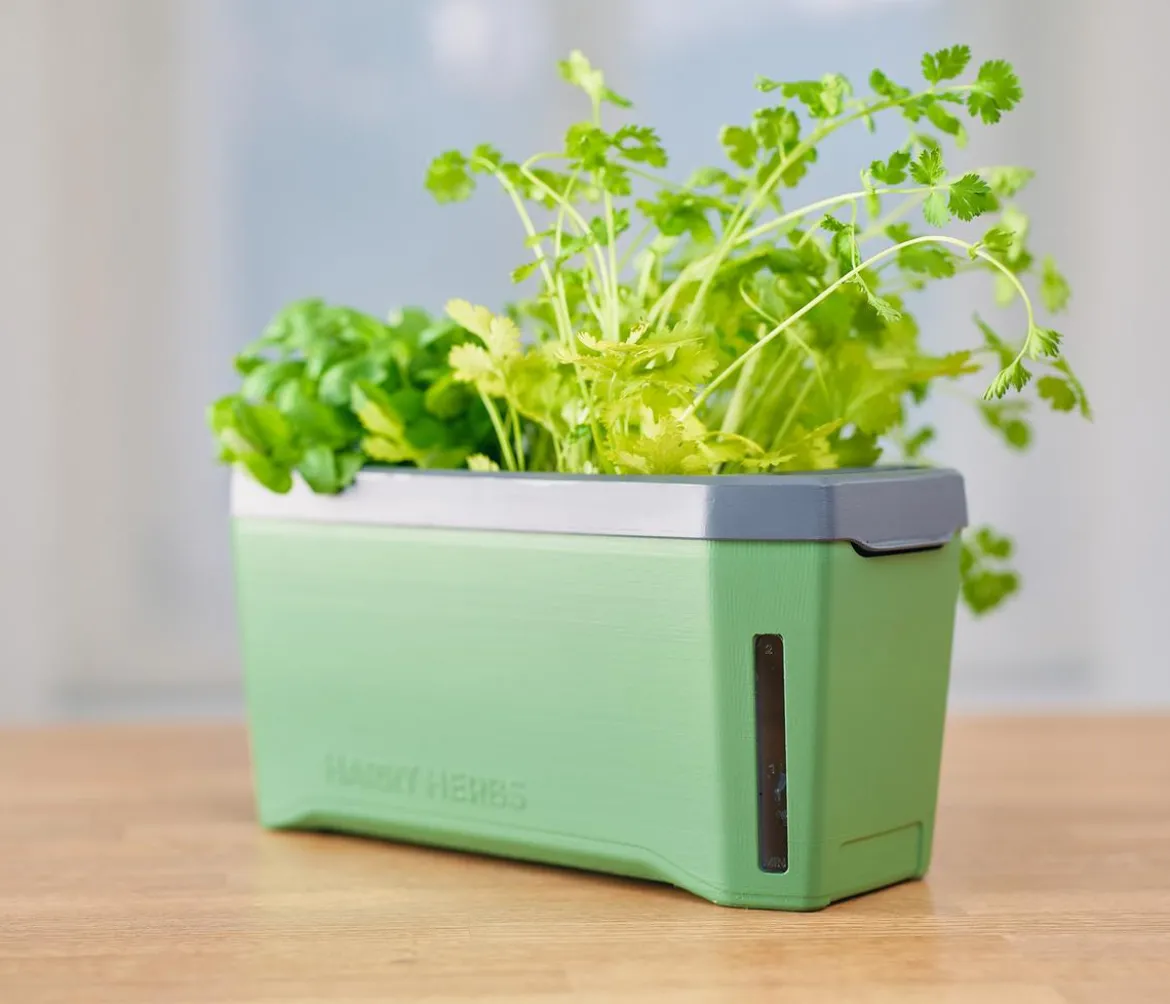 Gusta Garden Kräutertopf Harry Herbs mit Anzuchthaube, ca. B36/H25/T15 cm
