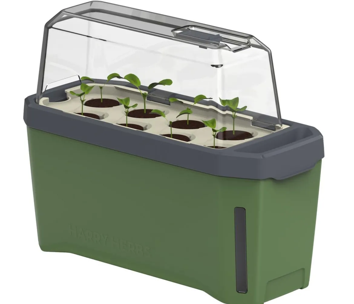 Gusta Garden Kräutertopf Harry Herbs mit Anzuchthaube, ca. B36/H25/T15 cm