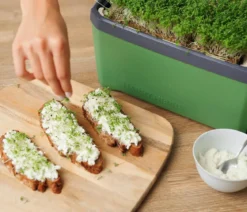 Gusta Garden Kräutertopf Harry Herbs mit Anzuchthaube, ca. B36/H25/T15 cm