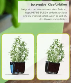 Gusta Garden Kräutertopf Herbs Buddy, ca. B16/H14/T14 cm