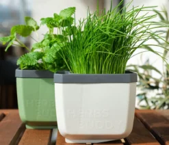 Gusta Garden Kräutertopf Herbs Buddy, ca. B16/H14/T14 cm