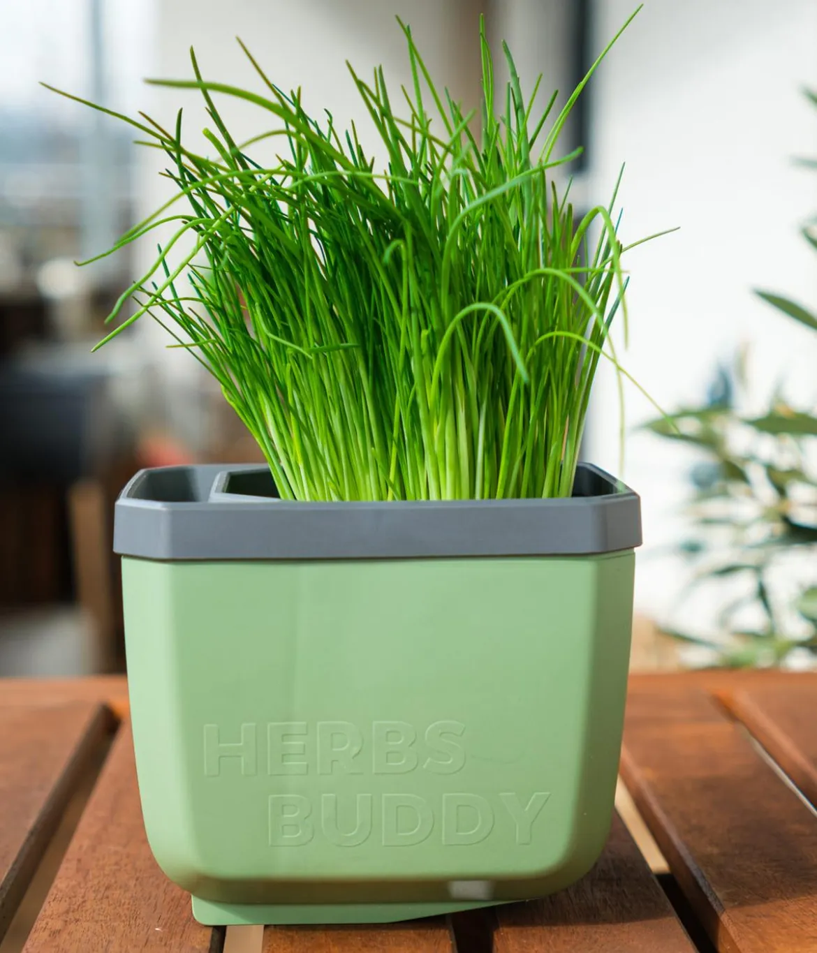Gusta Garden Kräutertopf Herbs Buddy, ca. B16/H14/T14 cm