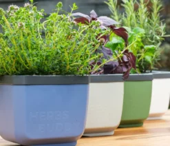 Gusta Garden Kräutertopf Herbs Buddy, ca. B16/H14/T14 cm
