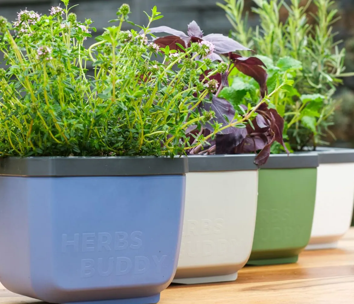 Gusta Garden Kräutertopf Herbs Buddy, ca. B16/H14/T14 cm