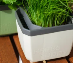 Gusta Garden Kräutertopf Herbs Buddy, ca. B16/H14/T14 cm