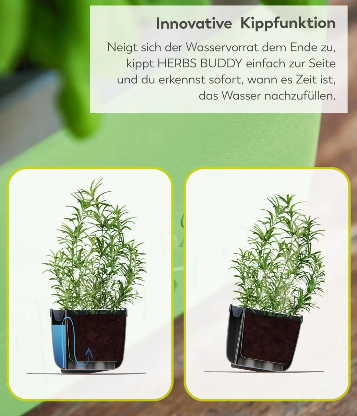 Gusta Garden Kräutertopf Herbs Buddy, ca. B16/H14/T14 cm