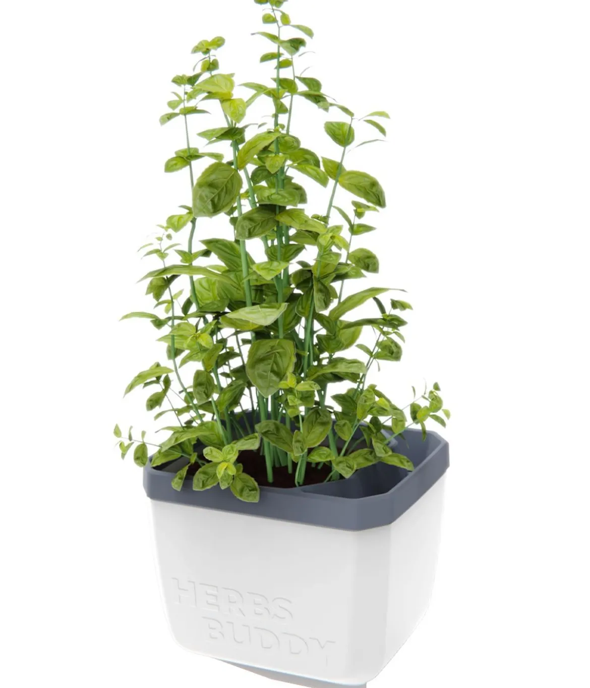 Gusta Garden Kräutertopf Herbs Buddy, ca. B16/H14/T14 cm