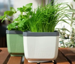 Gusta Garden Kräutertopf Herbs Buddy, ca. B16/H14/T14 cm
