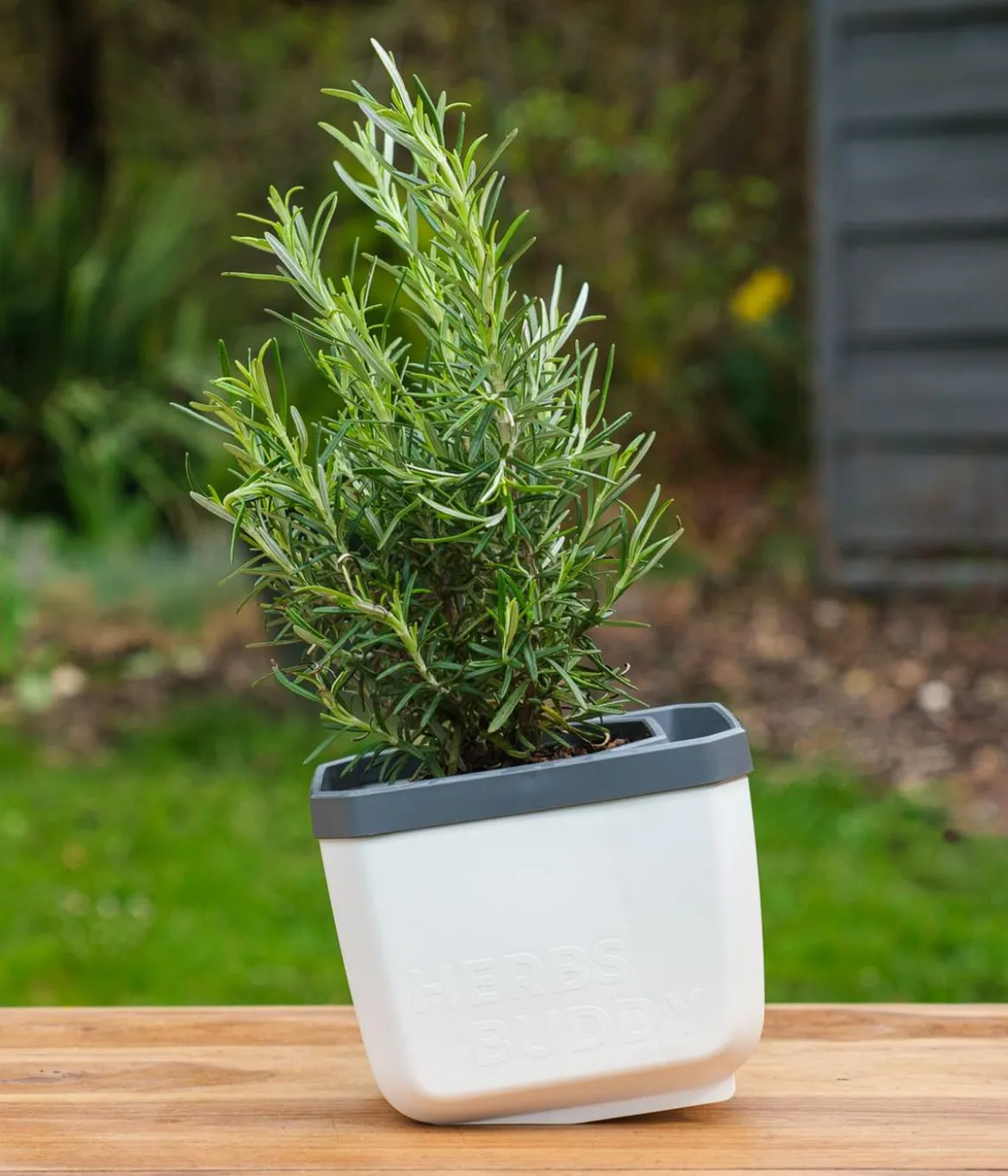 Gusta Garden Kräutertopf Herbs Buddy, ca. B16/H14/T14 cm