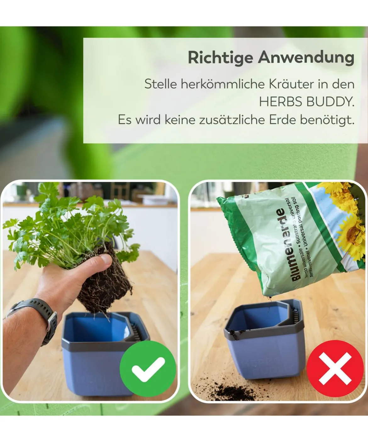 Gusta Garden Kräutertopf Herbs Buddy, ca. B16/H14/T14 cm