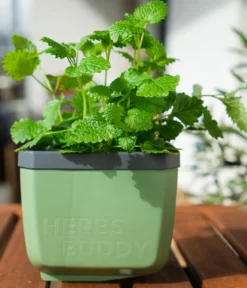 Gusta Garden Kräutertopf Herbs Buddy, ca. B16/H14/T14 cm, 3er-Set