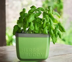 Gusta Garden Kräutertopf Herbs Buddy, ca. B16/H14/T14 cm, 3er-Set