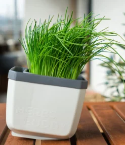 Gusta Garden Kräutertopf Herbs Buddy, ca. B16/H14/T14 cm, 3er-Set