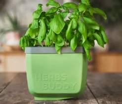 Gusta Garden Kräutertopf Herbs Buddy, ca. B16/H14/T14 cm, 3er-Set