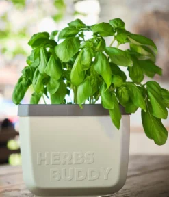 Gusta Garden Kräutertopf Herbs Buddy, ca. B16/H14/T14 cm, 3er-Set