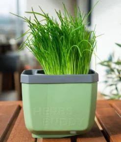 Gusta Garden Kräutertopf Herbs Buddy, ca. B16/H14/T14 cm, 3er-Set